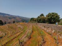 Wundeschöne Landschaften - Douro Tal  - Portugal  &ndash; &copy; Marieta Beck (Eberhardt TRAVEL)