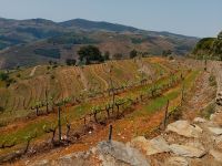 Wundeschöne Landschaften - Douro Tal  - Portugal  &ndash; &copy; Marieta Beck (Eberhardt TRAVEL)