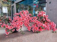 Regua - Blumenschmuck vor einem Hotel - Portugal  &ndash; &copy; Marieta Beck (Eberhardt TRAVEL)