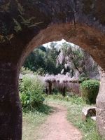 Mata do Buçaco - Portugal  &ndash; &copy; Marieta Beck (Eberhardt TRAVEL)