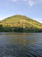 die Abendsonne umhüllt den Weinberg &ndash; &copy; Ute Solf (Eberhardt TRAVEL)