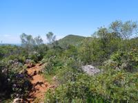 251 Rocha da Pena