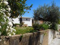 256 Penina