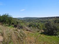 264 Penina