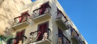 3 neue Bewohner der Altstadt