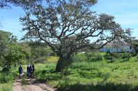 3. Tag - Wanderreise Alentejo - Land und Leute (8)