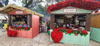 30 Weihnachtsmarkt in Funchal