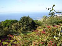 Botanischer Garten Funchal
