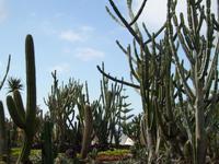 Botanischer Garten Funchal