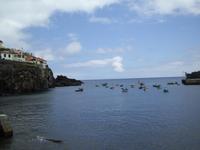 Hafen Camara de Lobos