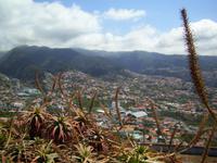 Aussicht auf Funchal