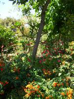 Bei der Kräuterhexe Esmeralda