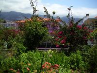 Bei der Kräuterhexe Esmeralda