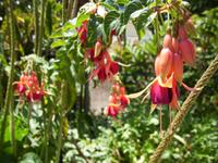 Bei der Kräuterhexe Esmeralda