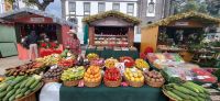 32 Weihnachtsmarkt in Funchal