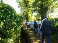 ...immer schön im Gänsemarsch