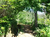 Levada-Wanderung im Paradiestal
