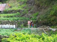 Schaffen sie es oder schaffen sie es nicht!