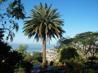 Blick auf Funchal vom Botanischen Garten
