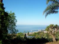 Blick auf den Hafen von Funchal