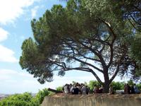 Gruppe im Castelo de Sao Jorge, Lissabon