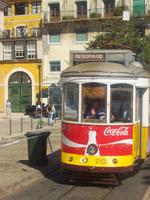 ...eine der Linien 28