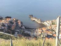 Blick auf Camara de Lobos (Madeira)