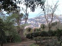 Funchal, botanischer Garten