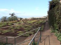 Funchal, botanischer Garten