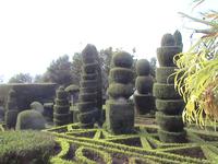 Funchal, botanischer Garten