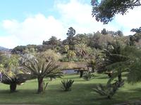 Funchal, botanischer Garten
