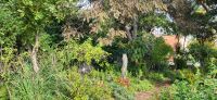41 Esmeraldas Kräutergarten