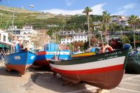 42 Fischerboote in Camara de Lobos