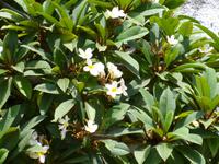 Levadawanderung - Marocos