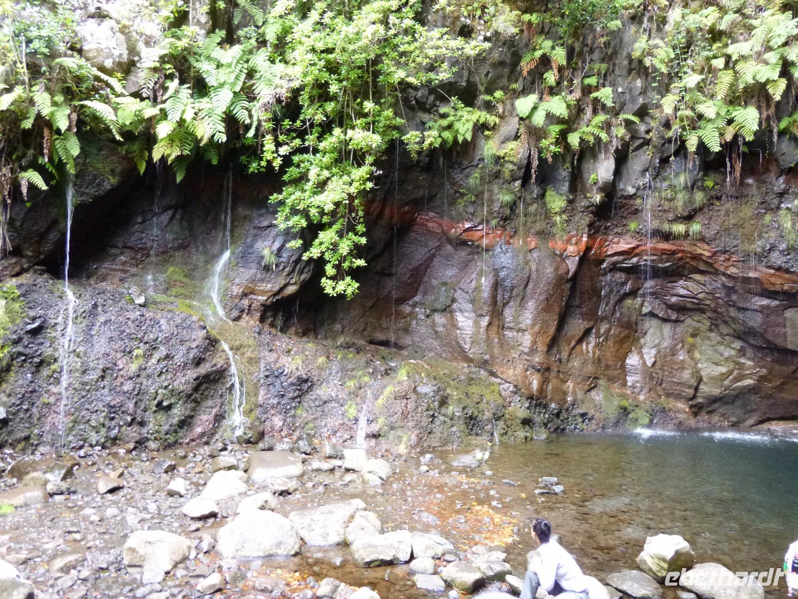 Wanderung Rabacal - 25 Quellen