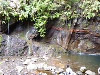 Wanderung Rabacal - 25 Quellen