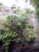 Wanderung Rabacal - 25 Quellen