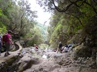 Wanderung Rabacal - 25 Quellen