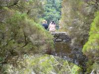 Wanderung Rabacal - 25 Quellen