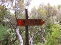 Wanderung Rabacal - 25 Quellen