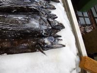   Funchal Fischhalle Degenfisch