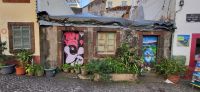 46 Altstadt in Funchal
