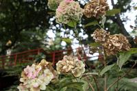 Monte Palace Tropical Garden