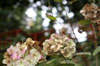 Monte Palace Tropical Garden