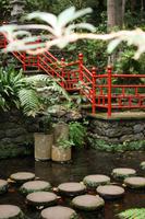 Monte Palace Tropical Garden