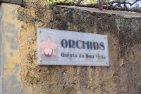 47 Besuch des Orchideengartens