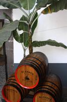 Blandy's Weinkellerei