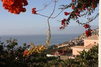 Quinta de SÃ£o JoÃ£o