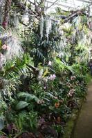 Orchideengarten