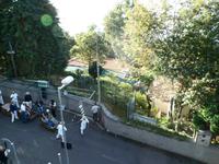 Schlittenfahrt in Funchal